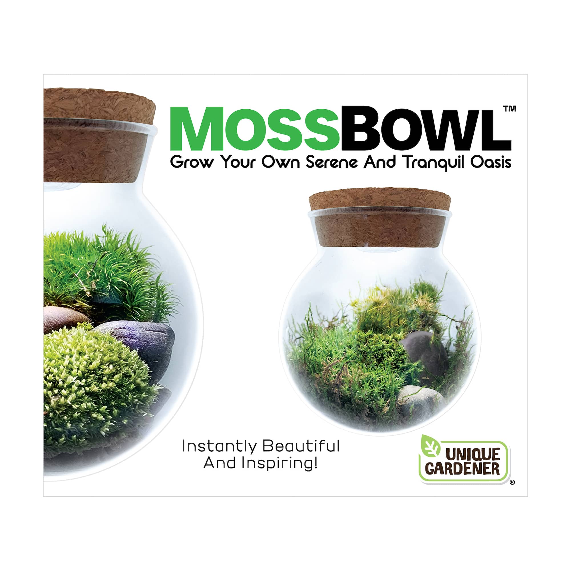 MossBowl - Grown Your Own Serene and Tranquil Oasis